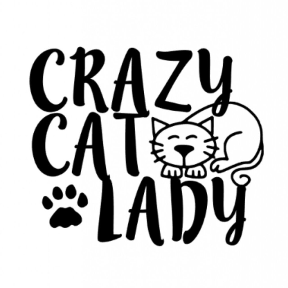 Vinyl Decal for Window - Crazy Cat Lady